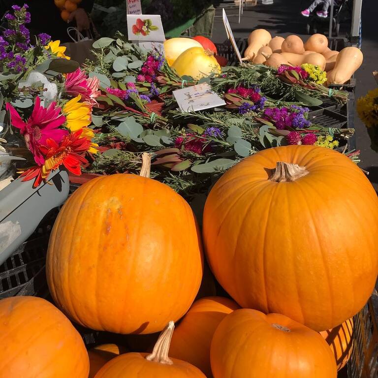 Top 16 Things To Do In Lake Worth, Florida Trip101