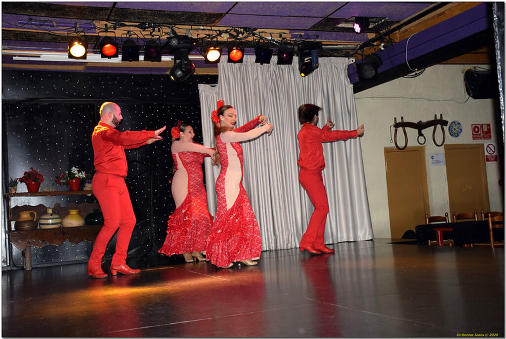 Flamenco Show 480DSC_0284