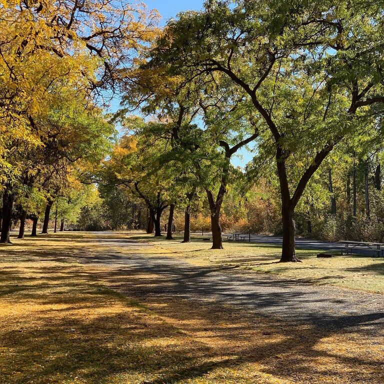 30 Best Things To Do In Yakima, Washington Trip101