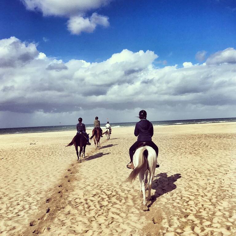 things to do in saint lucia south africa | go horse-riding with bhangazi horse safaris