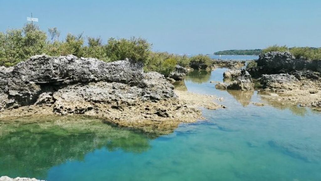 explore the stunning immuki island