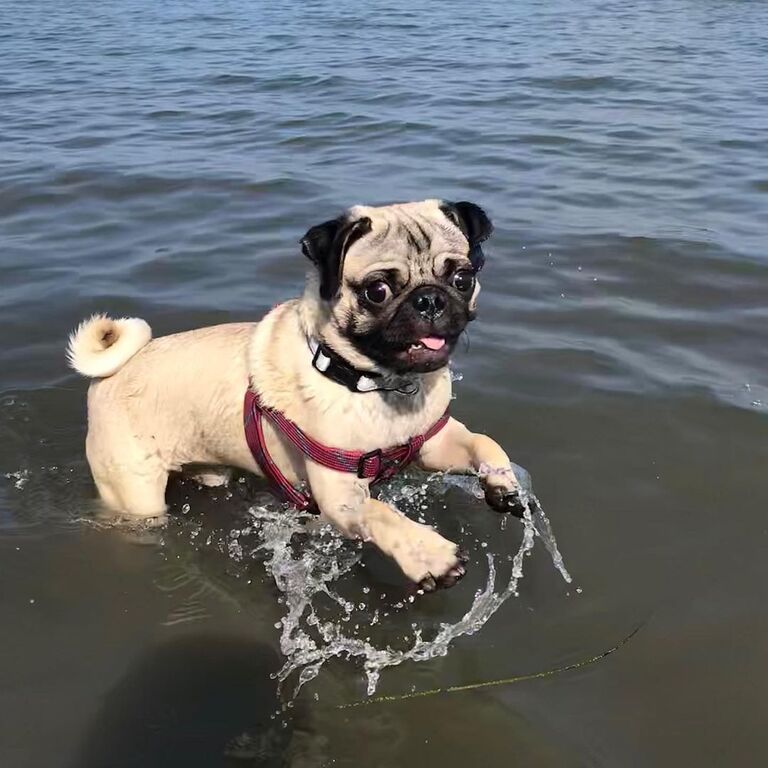 Top 16 Things To Do In Beach Haven, New Jersey Trip101