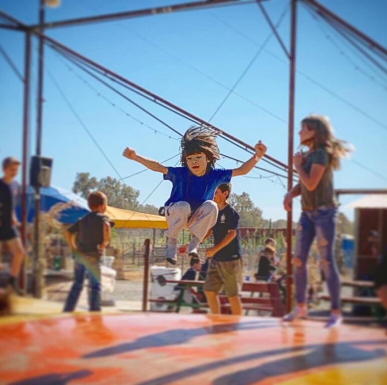things to do in anderson ca | organize fun for everyone at historic hawes farms