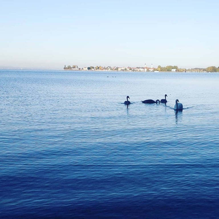 things to do in lindau germany | spend a relaxing evening at uferpark wäsen