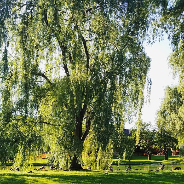 things to do in bellefonte pa | stroll through beautiful talleyrand park
