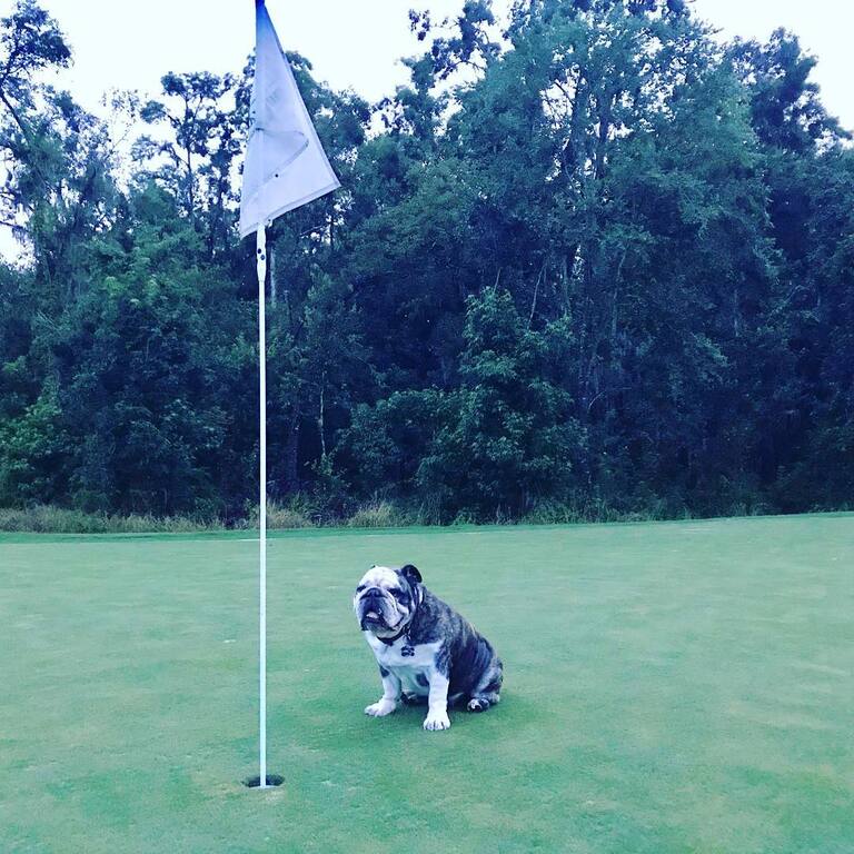 Top 16 Things To Do In Auburndale, Florida Trip101