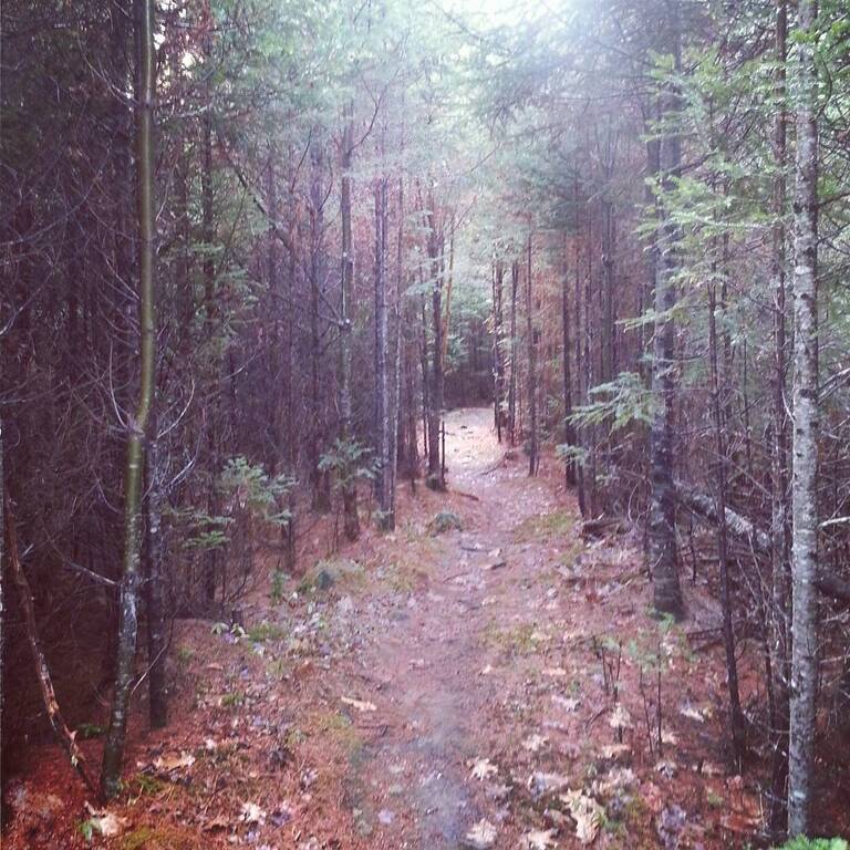 things to do in bangor maine | go hiking or biking through bangor city forest