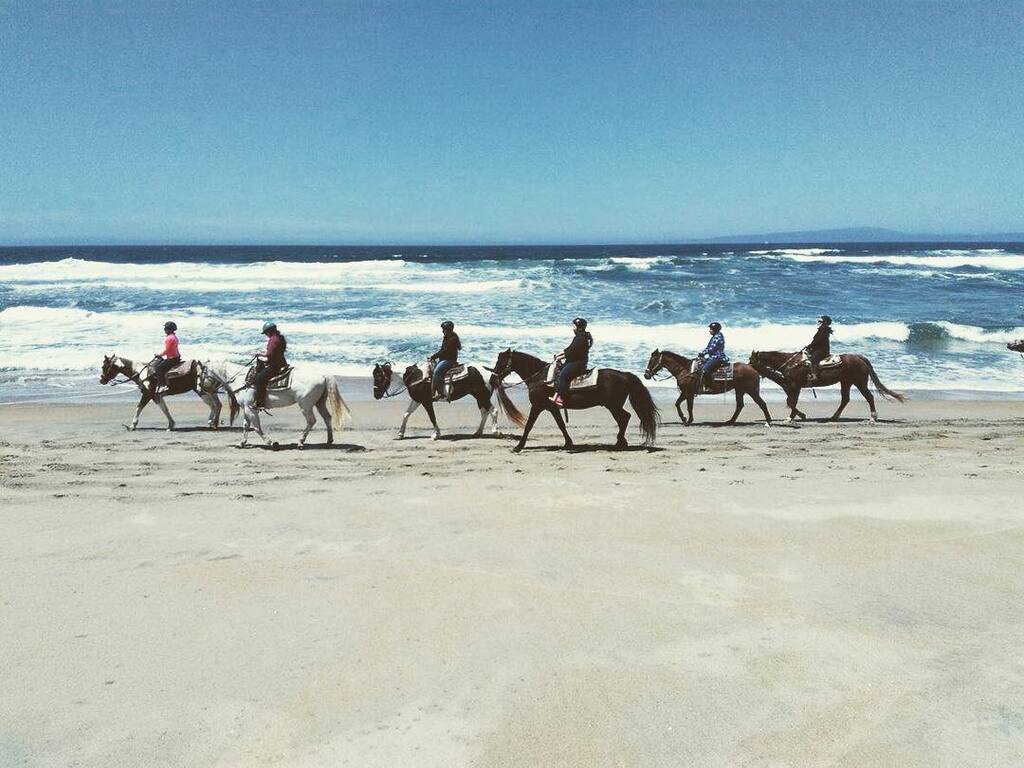 things to do in salinas california | ride a horse at monterey bay equestrian center