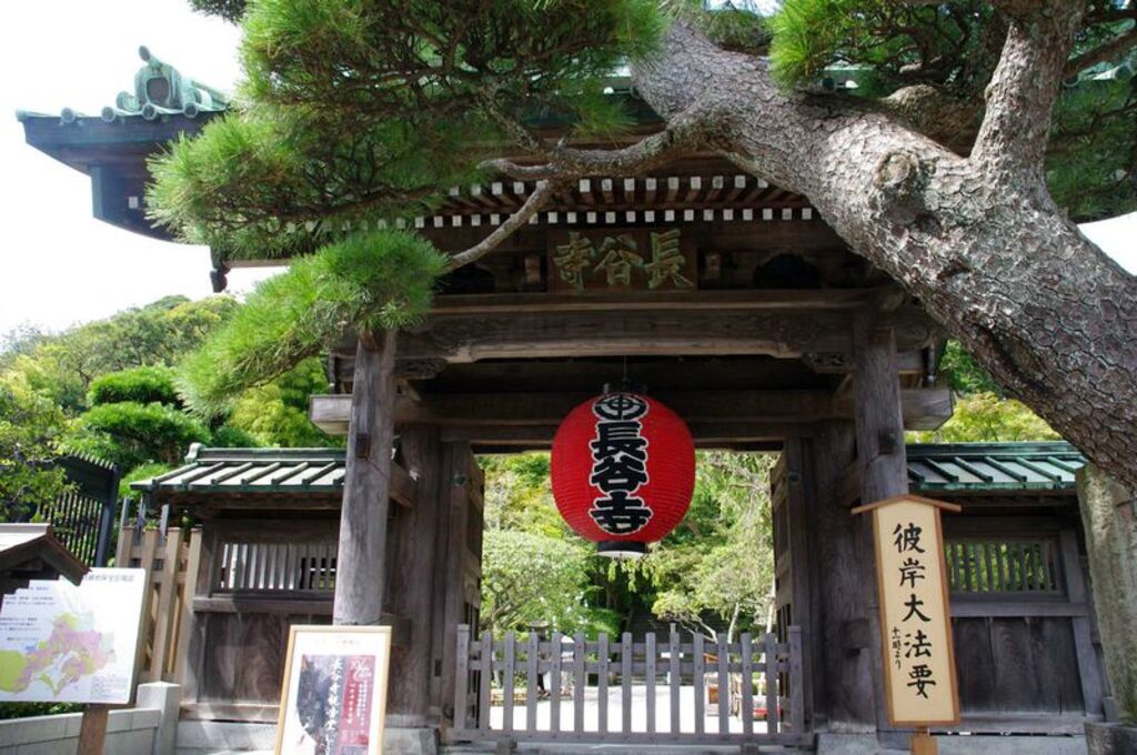 Kamakura Hasedera Temple 