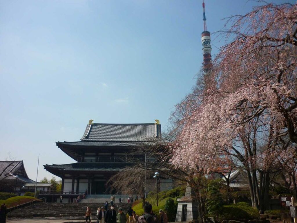 Zojoji Temple 