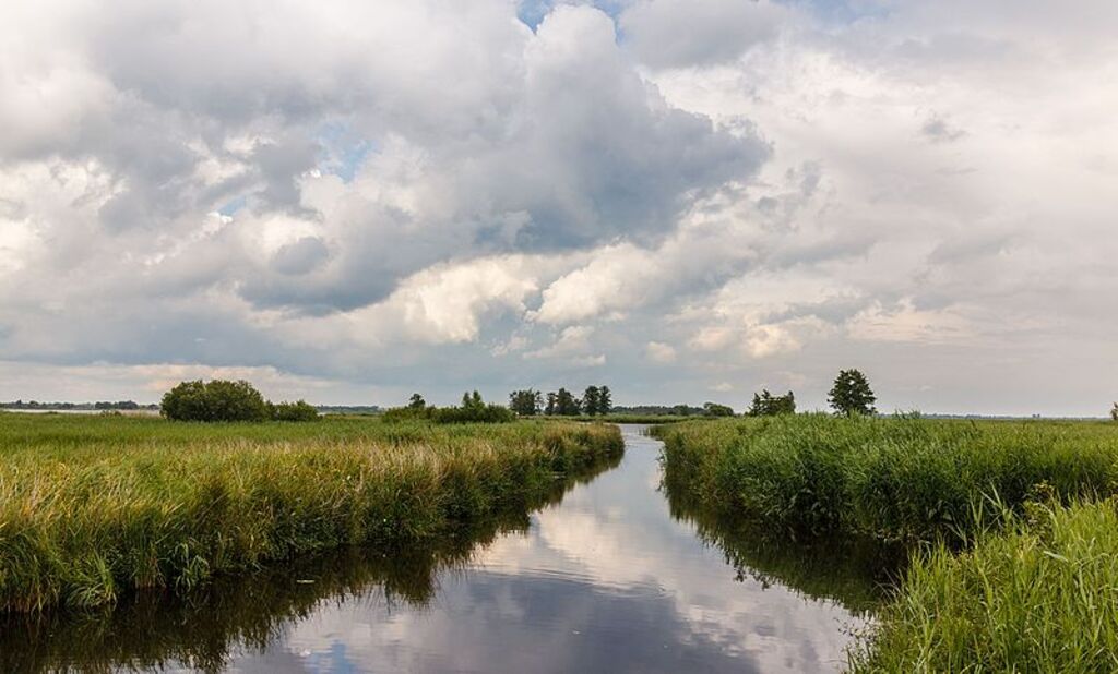 De Weerribben-Wieden National Park
