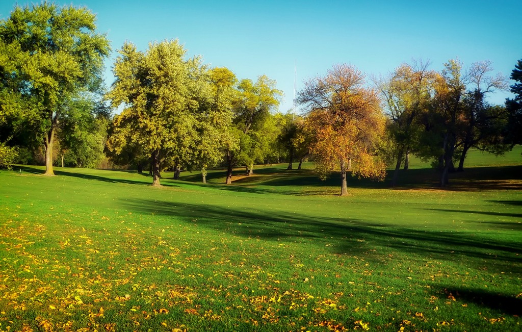 Old Cottage Grove Community Park