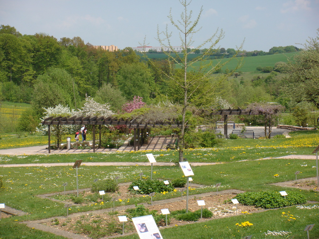 Pergola im Botanischen Garten Ulm