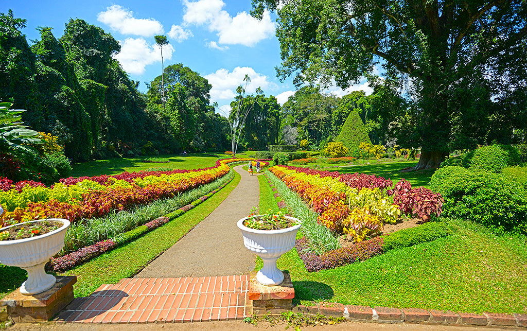 Royal Botanical Garden