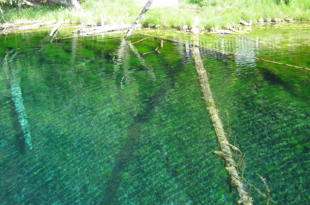 Kitch-iti-kipi Spring