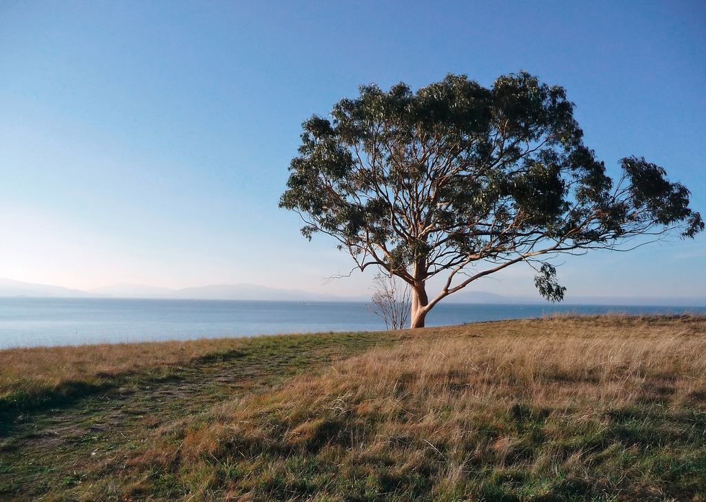 Point Pinole