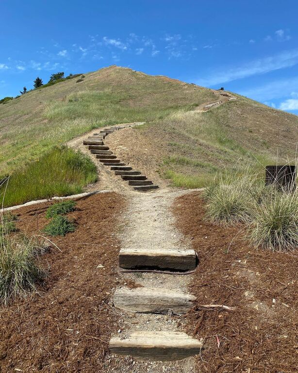 things to do in richmond ca | feed the ducks at miller knox regional park