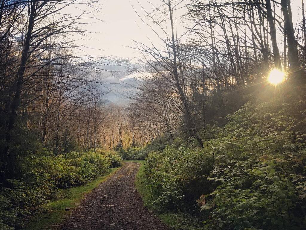 things to do in ketchikan | admire scenic views along carlanna lake trail