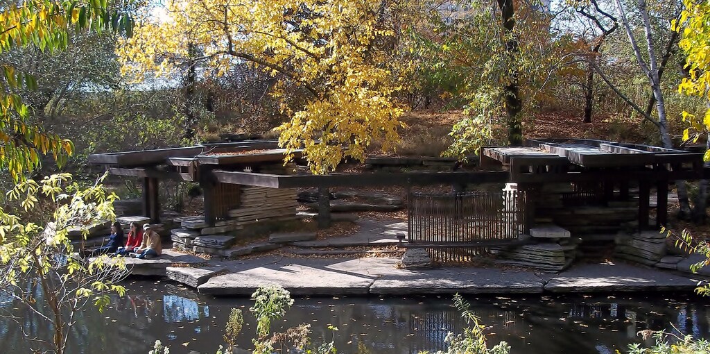 Alfred Caldwell Lily Pool Fall 2010