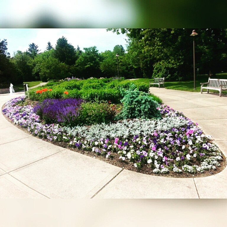 things to do in rockford illinois | wander in the klehm arboretum and botanic garden