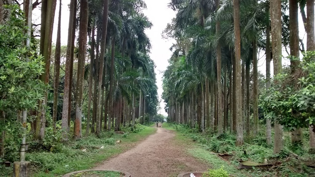 Botanical Garden-Kolkata