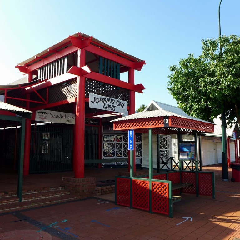Johnny Chi Lane, 2019