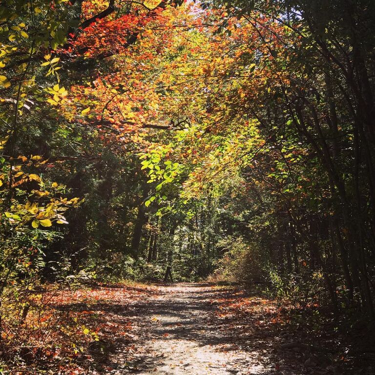 12 Best Things To Do In Annandale, Virginia Trip101