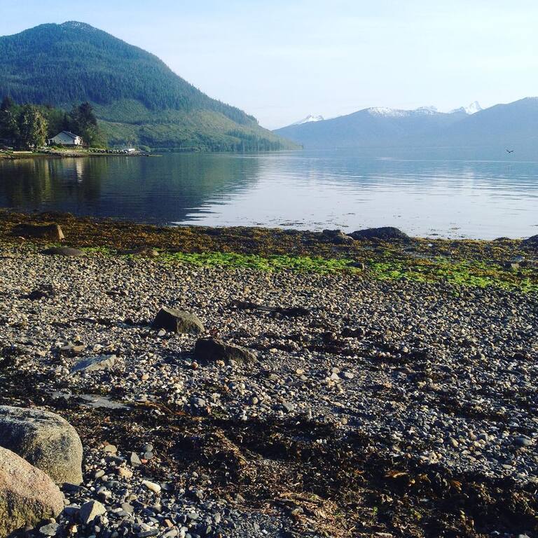 things to do in wrangell alaska | camp in the middle of nature at shoemaker park
