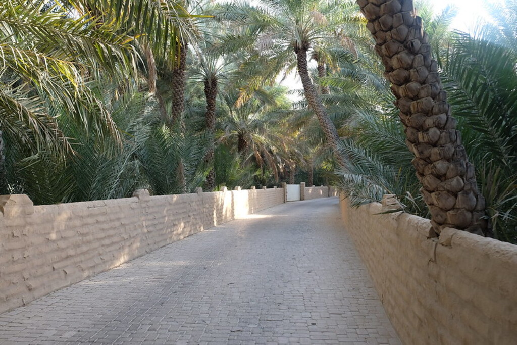An alley at the Al Ain Oasis