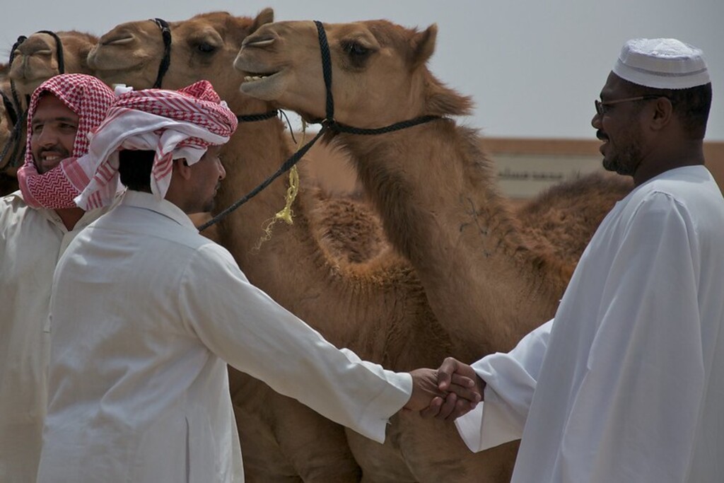 It's a deal