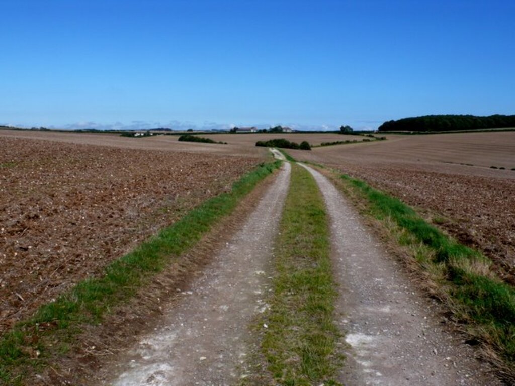 Farm track at Bushy Eweleaze