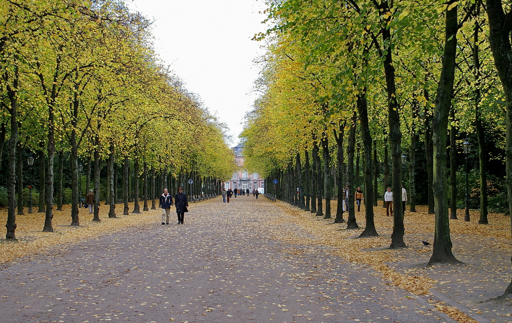 Allee im Düsseldorfer Hofgarten im Herbst