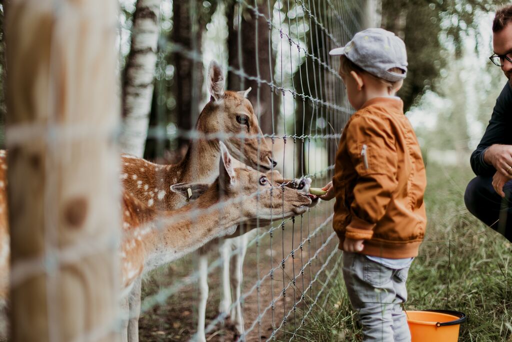 Zoo
