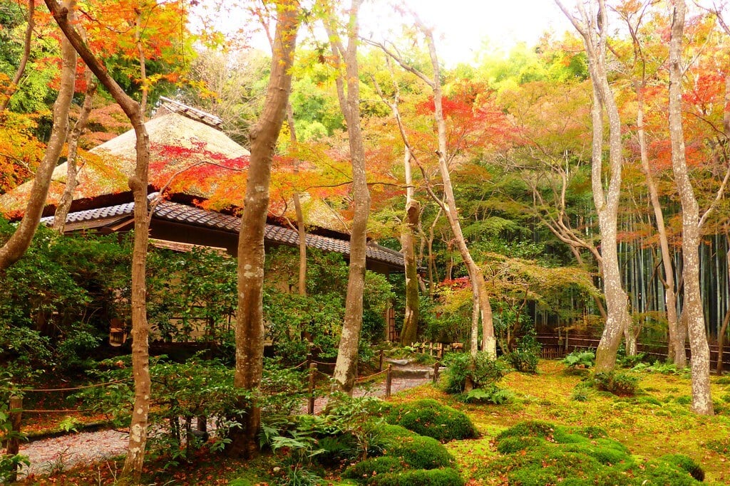 Gio-ji, Precincts -1 (November 2017)