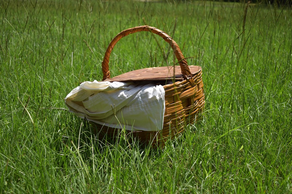 Picnic basket 