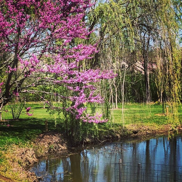 things to do in dublin ohio | take a stroll through ml "red" trabue nature reserve
