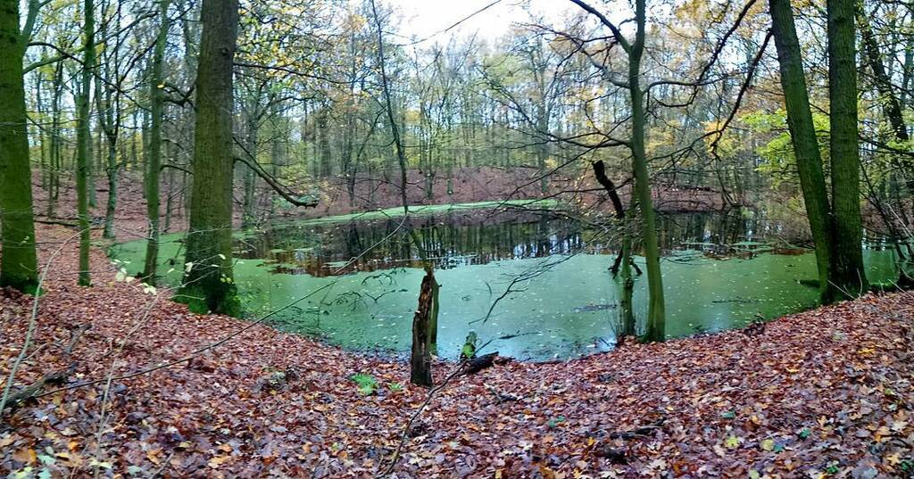 things to do in poznan poland | explore the morasko meteorite nature reserve
