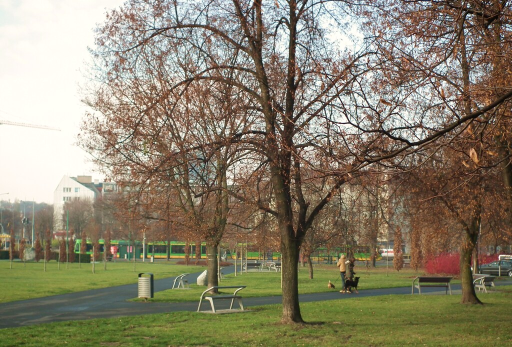 Tadeusz Mazowiecki Park, Poznan (6)