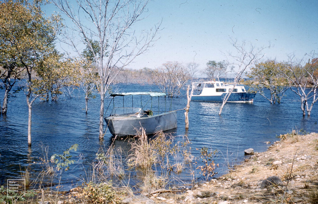 Boats among trees Kariba Lake