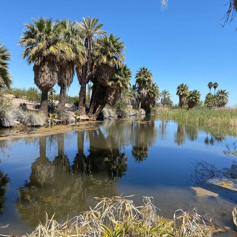 romantic places in phoenix | papago park