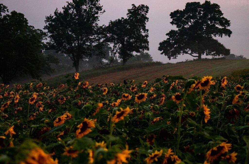 things to do in coatesville pa | indulge in outdoor activities at cheslen preserve