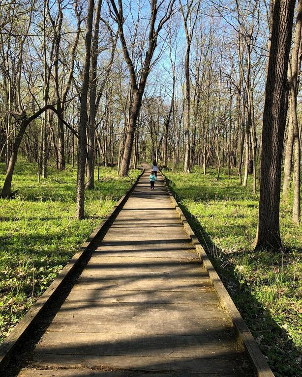 things to do in urbana illinois | get lost in the amazing busey woods