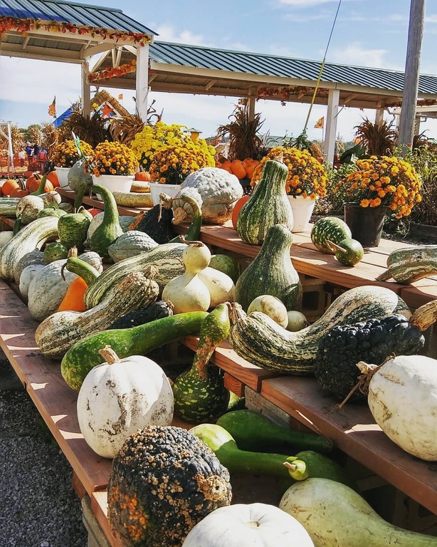 21 Best Things To Do In Maryland Heights, Missouri Trip101