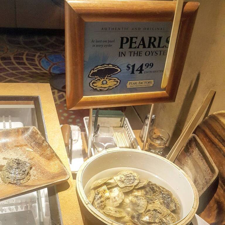 things to do in maui | shuck your own pearl at pearl factory hawaii's original pearl-in-the-oyster