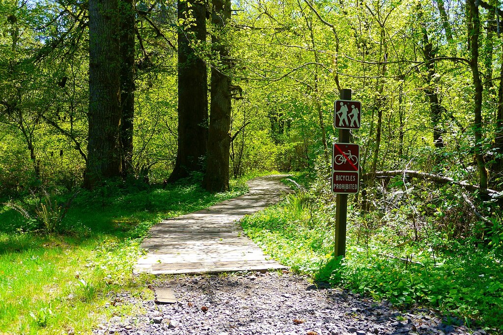 Hiking trail 