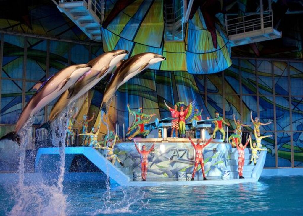 Seaworld San Antonio
