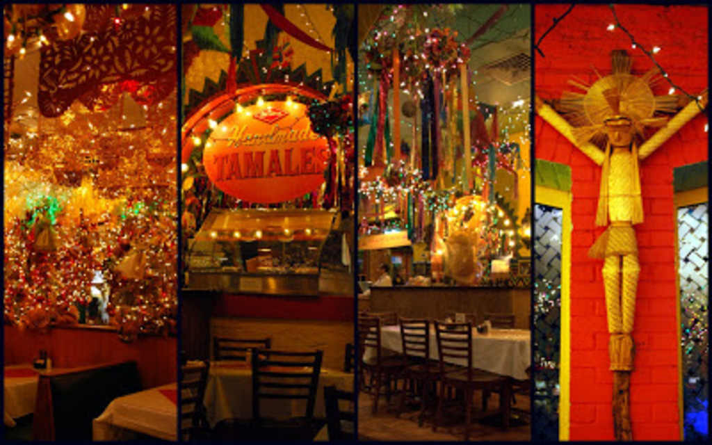 Mi Terra Cafe interiors