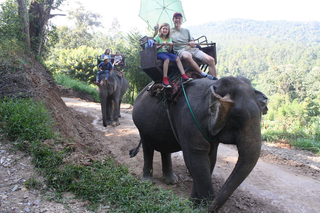 Maesa Elephant Camp - Ride 2