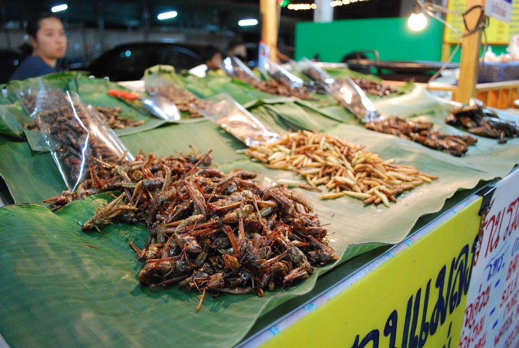 Fried Crickets - Chiang Mai Night Bazaar