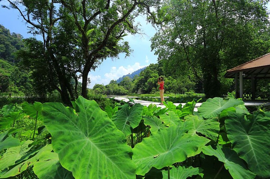 Thale Ban National Park Satun Thailand